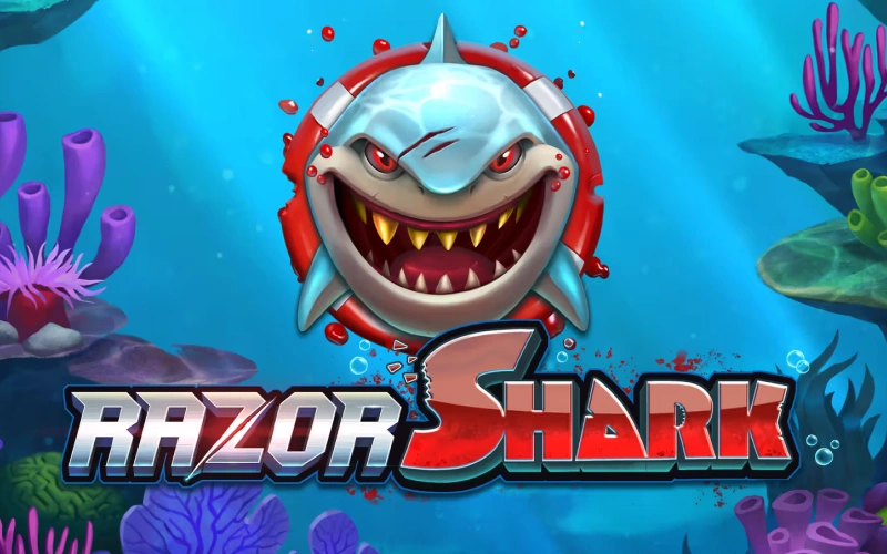 Immergiti nella slot Razor Shark su Betsson e accumula grandi vincite.
