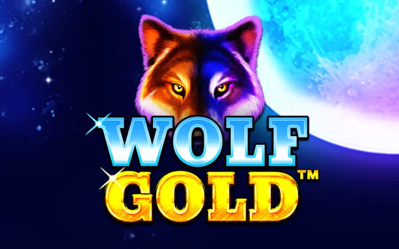 Piazza le tue puntate sulla slot Wolf Gold nell'offerta di Betsson.
